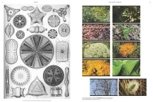 Alternative view 4 of On the Necessity of Gardening: An ABC of Art, Botany and Cultivation