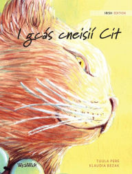 Title: I gcás cneisií Cit: Irish Edition of The Healer Cat, Author: Tuula Pere