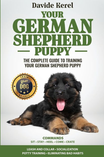 Potty training a german shepherd clearance puppy