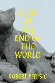 Title: A Cat At the End of the World, Author: Robert Perisic