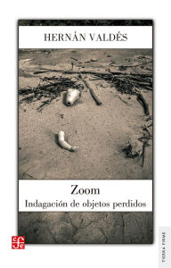 Title: Zoom: Inventario de objetos perdidos, Author: Hernán Valdés