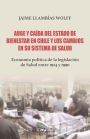 Auge y caída del Estado de bienestar en Chile y los cambios en su sistema de Salud: Economía política de la legislación de Salud entre 1924 y 1990