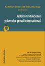 Justicia transicional y derecho penal internacional