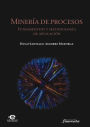 Minería de procesos: Fundamentos y metodología de aplicación