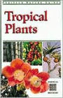 Tropical Plants
