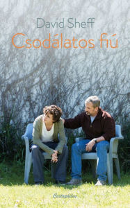 Title: Csodálatos fiú, Author: David Sheff