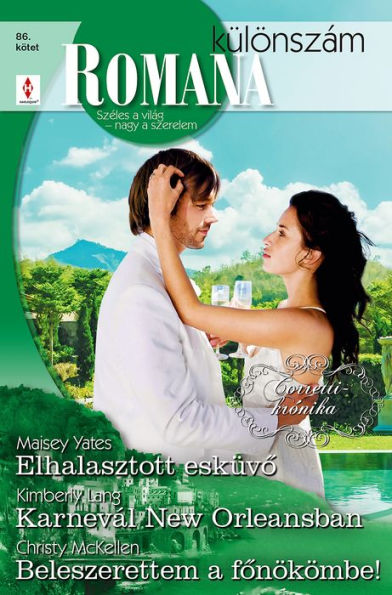 Elhalasztott esküvő/ Karnevál New Orleansban/ Beleszerettem a főnökömbe! (A Hunger for the Forbidden/ No Time Like Mardi Gras/ Unlocking Her Boss's Heart)