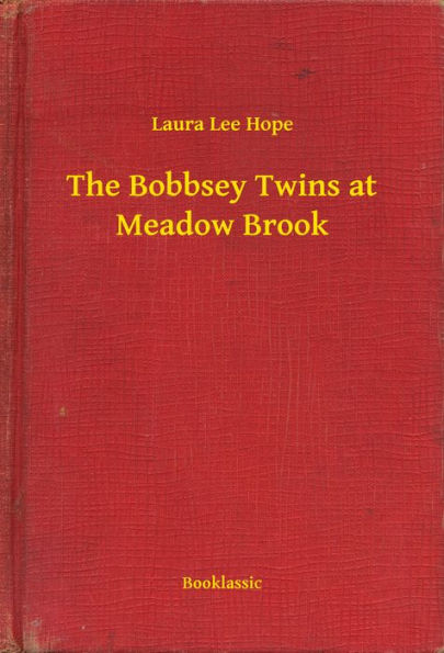 The Bobbsey Twins at Meadow Brook