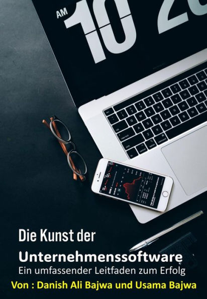 Die Kunst von Unternehmenssoftware: Ein umfassender Leitfaden für Erfolg
