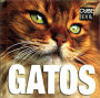 Cube Book: Gatos