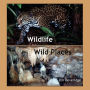 Alternative view 2 of Wildlife-Wild Places