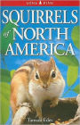 Squirrels of North America