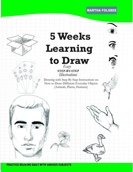 5 Weeks Learning to Draw