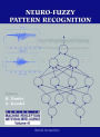 Neuro-Fuzzy Pattern Recognition