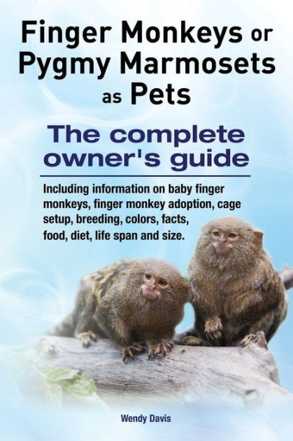 finger-monkeys-or-pygmy-marmosets-as-pets-including-information-on