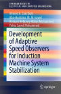 Development of Adaptive Speed Observers for Induction Machine System Stabilization