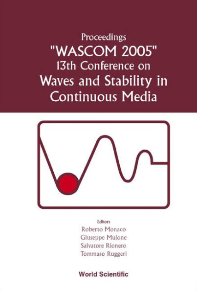 Waves And Stability In Continuous Media - Proceedings Of The 13th Conference On Wascom 2005