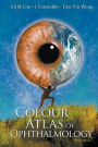 Colour Atlas Of Ophthalmology (Fifth Edition) / Edition 5