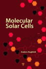 Photoelectrochemistry of Semiconductors
