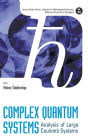 Complex Quantum Systems: Analysis Of Large Coulomb Systems