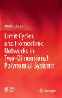 Limit Cycles and Homoclinic Networks in Two-Dimensional Polynomial Systems