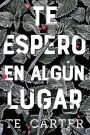 Te espero en algún lugar