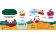 Alternative view 3 of Animales del océano: Para escribir, borrar y escuchar