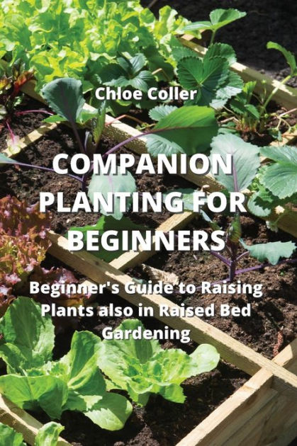 Companion Planting For Beginners Beginner S Guide To Raising Plants Also In Raised Bed