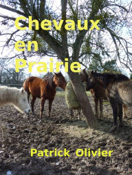 Title: Chevaux en Prairie, Author: Patrick Olivier