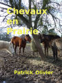 Chevaux en Prairie