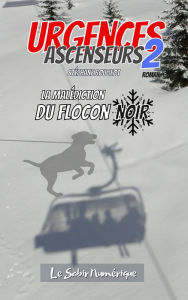 Title: Urgences Ascenseurs 2 : La Malédiction du Flocon Noir, Author: Stéphane Rougeot