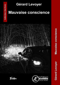 Title: Mauvaise conscience, Author: Gérard Levoyer