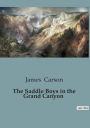 The Saddle Boys in the Grand Canyon