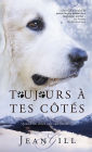 Toujours à tes côtés: quand un chien suit son étoile
