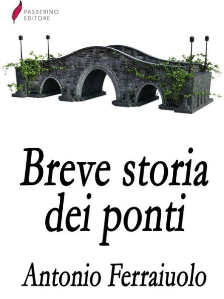 Breve storia dei ponti