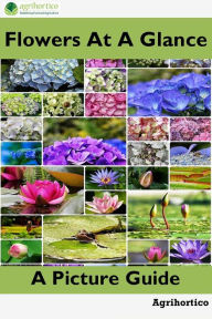 Title: Flowers at a Glance: A Picture Guide, Author: Agrihortico CPL