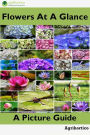 Flowers at a Glance: A Picture Guide