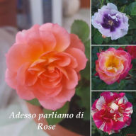 Title: Adesso parliamo di rose, Author: Enrico Indolfi