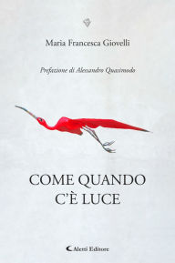 Title: Come quando c'è luce, Author: Maria Francesca Giovelli
