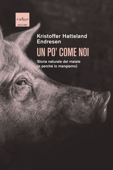 Un po' come noi: Storia naturale del maiale (e perché lo mangiamo)