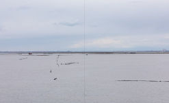 Alternative view 4 of Venice and Its Lagoon: Caring for the Environment