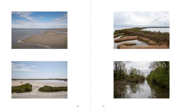 Venice and Its Lagoon: Caring for the Environment