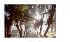 Alternative view 7 of Venice and Its Lagoon: Caring for the Environment