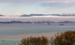 Alternative view 8 of Venice and Its Lagoon: Caring for the Environment
