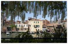 Alternative view 7 of The Gardens of Venice