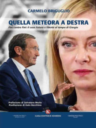 Title: QUELLA METEORA A DESTRA: Fini contro Fini: il caso Futuro e Libertà al tempo di Giorgia, Author: Carmelo Briguglio