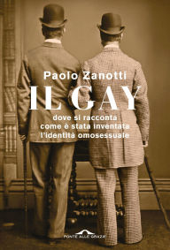 Title: Il gay: Dove si racconta come è stata inventata l'identità omosessuale, Author: Paolo Zanotti