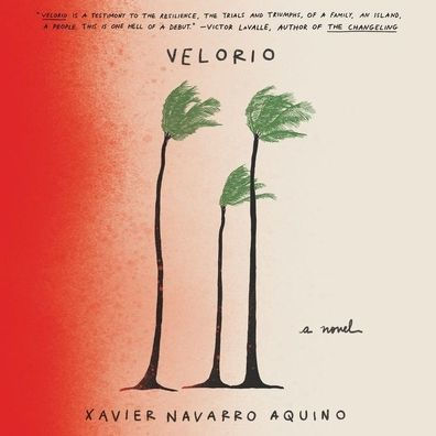Velorio: A Novel