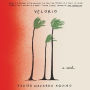 Velorio: A Novel