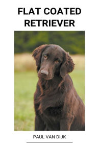 Title: Flat Coated Retriever, Author: Paul Van Dijk